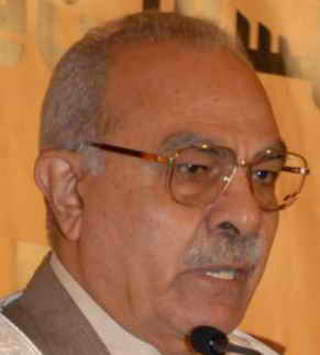 محمد عمارة مصطفى عمارة